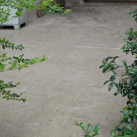 Destiny 4 Borgo Venezia *